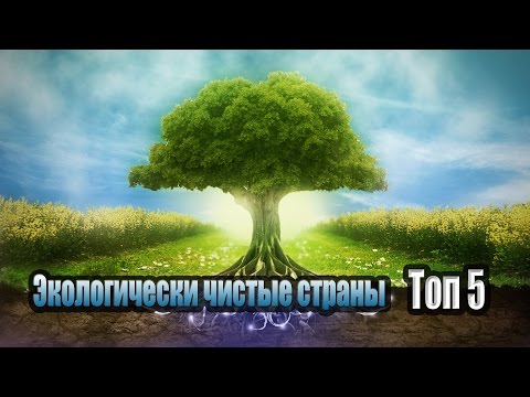 ТОП 5 САМЫХ
