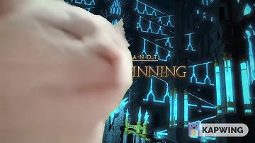 Cat vibing to The Twinning (FFXIV)