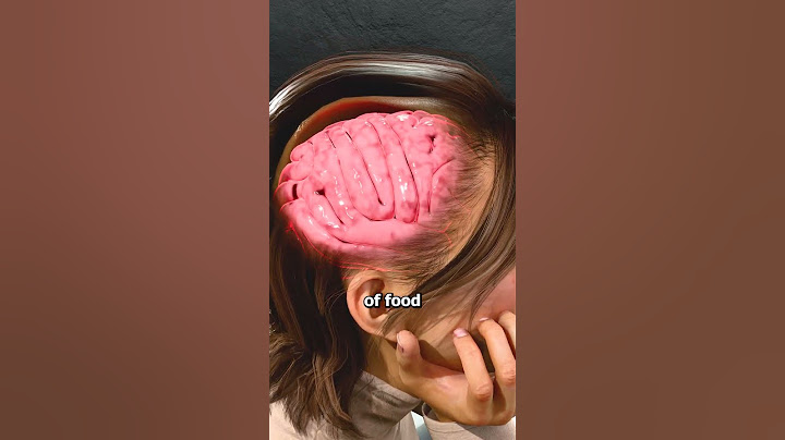 Why Does Food Make Your Mouth Water? 🤤