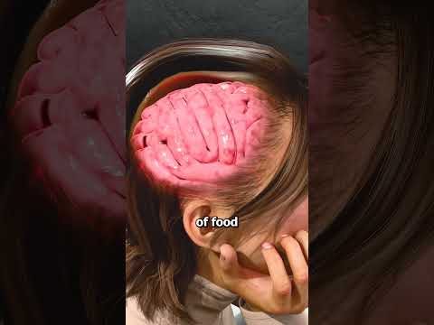 Why Does Food