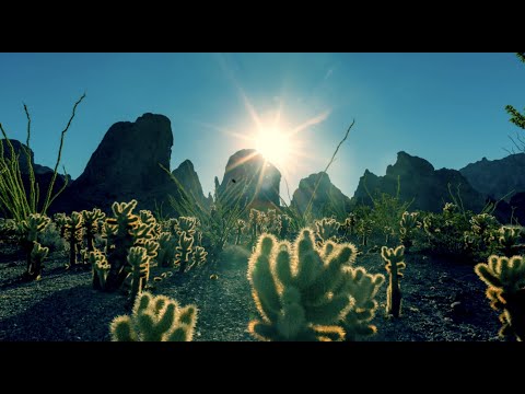 Ambient / Electronic Solo Artist Gabó Announces Exclusive Live-Streaming Event on March 1