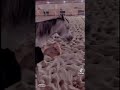 Ш Ш ЩѓШЄЩѓ Ш Щ Щ ЩЉ ШЄЩ Ш ШЇЩ ЩЉ ШЇШ Щ ШЁ Ш Щ ШЁЩ Ш Щ вЂЏЩ Ш Щ Щ Щ ШҐЩ ШЈЩЃШЄШ Щ Щ Ш Щ Щ ШЁЩЉ Щ ШЈШґШ Ш Щ Щ Ш ШЁШ ШЁЩ Щ ШіЩЉЩ Щ рџ њрџљ вЂЌв пёЏ Ш Ш ЩѓШЄЩѓ Ш Щ Щ ЩЉ ШЄЩ Ш ШЇЩ ЩЉ ШЇШ Щ ШЁ Ш Щ ШЁЩ Ш Щ вЂЏЩ Ш Щ Щ Щ ШҐЩ ШЈЩЃШЄШ Щ Щ Ш Щ Щ ШЁЩЉ Щ ШЈШґШ Ш Щ Щ Ш ШЁШ ШЁЩ Щ ШіЩЉЩ Щ рџ њрџљ вЂЌв пёЏ