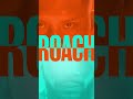 Pitbull vs. Roach Fight Week is HERE