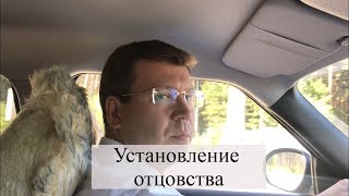 Установление отцовства: советы семейного адвоката