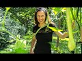 July Garden Tour: The Good, Bad & Ugly | Home Gardening: Ep. 7