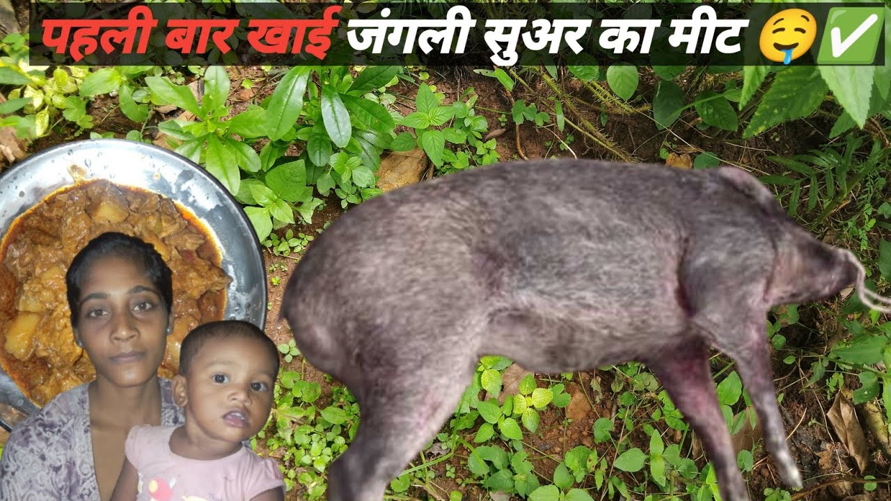 "Village Style Wild Boar (Suwar) Meat Curry | Mitti ke Chulhe me Cooking | Jungle Adivasi Recipe"