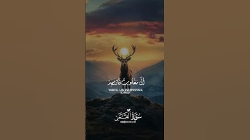 فدعا ربه أني مغلوب فانتصر...قرآن كريم