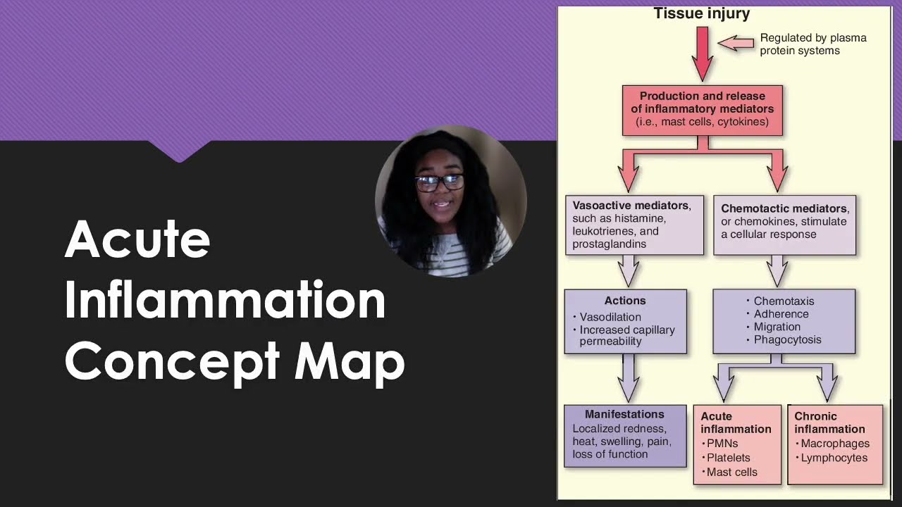 NURS 221 Chapter 3: Inflammation and Tissue Repair