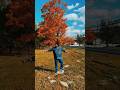 🍁🍂A Casual Morning in New Jersey 🇺🇸#usa #america #newjersey #srikanthdeva #shorts #melody