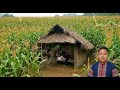 Deev Koj Lub Cas Yuav Zoo Nyob Ua Luaj_ Koos Loos 25/3/2026