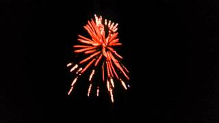 Tiger tail/D1glitter firework 3 shell