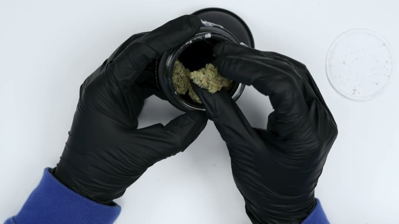 Skywalker OG Strain Review – A Classic Kush Experience with Originals 🌿✨