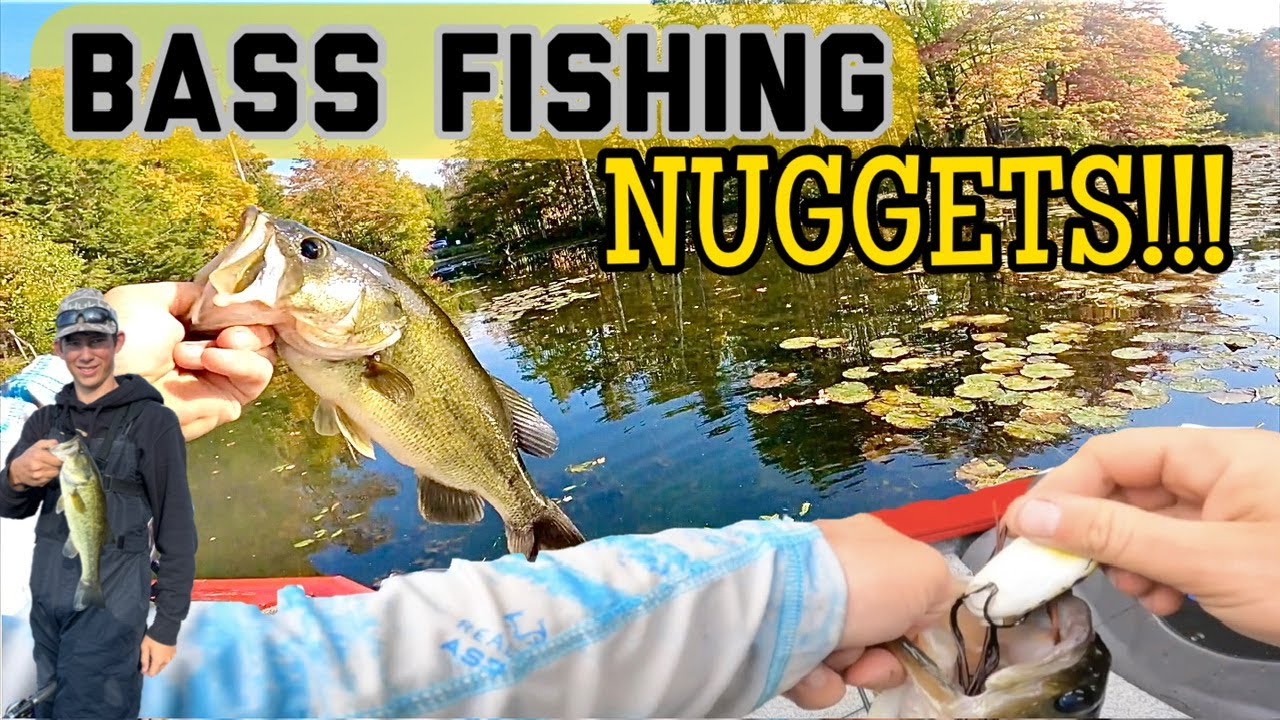 Some Bass Fishing Simple Tips and Frog Fishing!!!