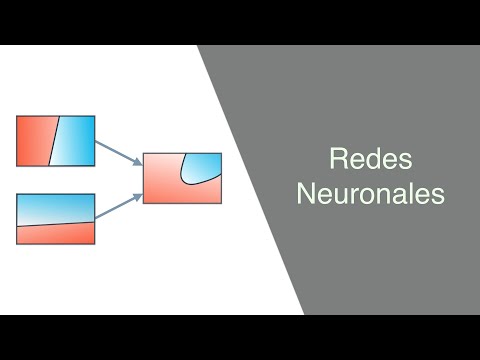 Vídeo: Redes Neuronales Profundas Para La Detección De Precursores De MicroARN Humanos