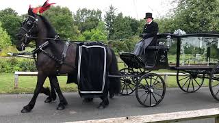 Funeral carriage