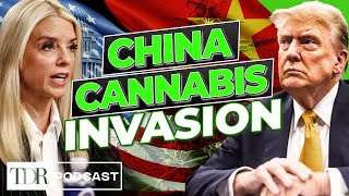 Congress Takes Aim at China’s Cannabis Network | TDR Cannabis in 5