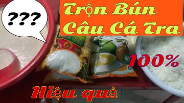 CHIA SẺ TRỘN MỒI BÚN CÂU CÁ TRA (p2)