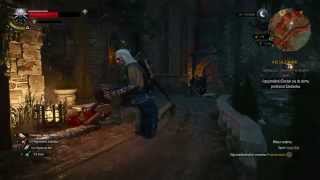 The Witcher 3 (PC) - Walking Glitch