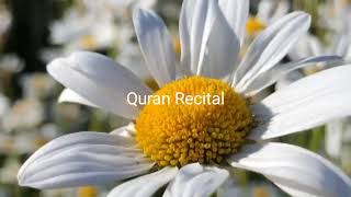Beautiful Quran Recitation for you  Hisham al Haraz