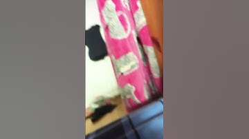 #funny #loop #makeup #satisfyingloop #skincare #endlessloop #perfectloop #music #furry #furr