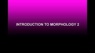 Introduction To Morphology - 2 North American College Of Information Technology