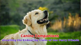 Canine Companions: Unveiling the Endearing Traits of Our Furry Friends