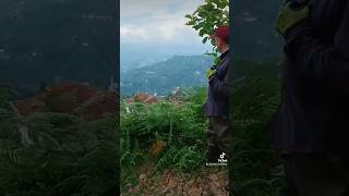 Gel Aşalum Aşalum Resimi