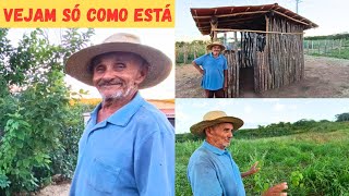 Vejam só Como Cresceu o Capim Que Plantamos +Terminamos a Casinha das Galinhas