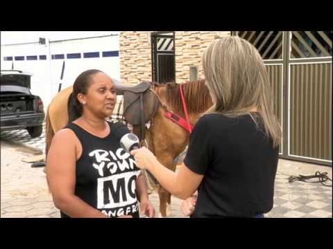 GAROTINHO REENCONTRA SEU MELHOR AMIGO CAVALO APÓS DRAMA