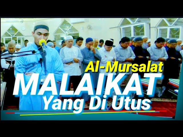 Imam Sholat Termerdu, Adeemm!! Bikin Hati Tenang, Surat Al-Mursalat class=