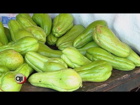 Chayote crudo para bajar de peso Chayote crudo para bajar de peso