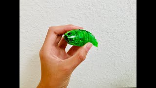 HEXBUG Larva