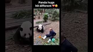 Panda hugs hit different