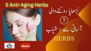 5 Anti-Aging Herbs For A Timeless Glow