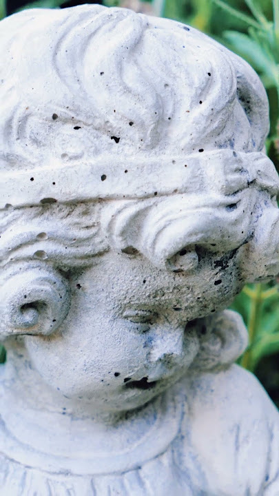Back yard garden review. #backyard  #gardening