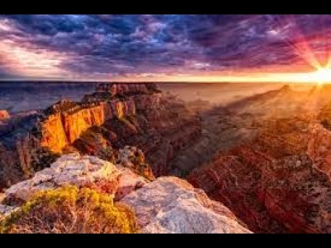 تخصص شعبة العلوم الجيولوجية