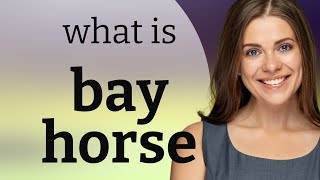 Unraveling the Meaning of "Bay Horse" What Is A Bay Horse
