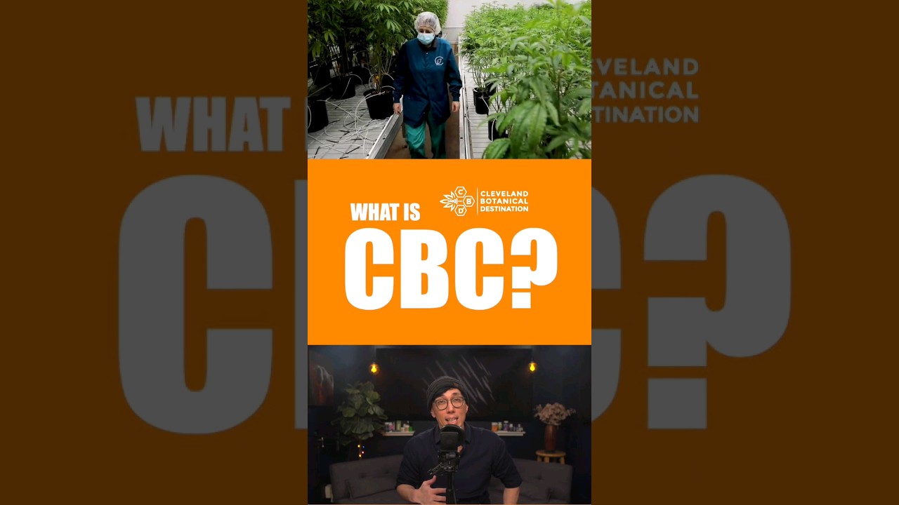 what is the "bliss" cannabinoid?