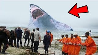 World's Biggest Animal / आज आप भी देख लीजिये 10 दुनिया के सबसे बड़े | BIGGEST ANIMALS IN THE WORLD