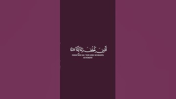 الذين يقولون ربنا إننا آمنا فاغفر لنا ذنوبنا وقنا عذاب النار ماهر المعيقلي #تلاوة_خاشعة
