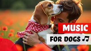 Calming Canine Vibes : Soothing Music to Minimize Separation... screenshot 5