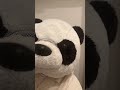 ウマチュン日本開催出演者確定した話#推し活 #kpopオタク #kpop #ウマチュン