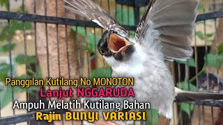 Suara Burung Kutilang Gacor ASLI ALAM lanjut NGGARUDA ampuh untk Masteran kutilang \u0026 pikat Kutilang