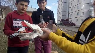 Sivasdan, Abdullah Kantar-Gömücü Murat-Batuhan Demirel, Taklacı Güvercinlerini Tanıtıyorlar.