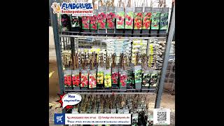 Spring Plant Sale 🌸 New Flowers, Herbs &amp; Garden Plants at Fundgrube Blieskastel