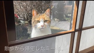 長楽寺にも春が来た。
