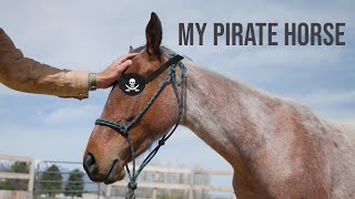The Pirate Filly Starting A One Eyed Mare