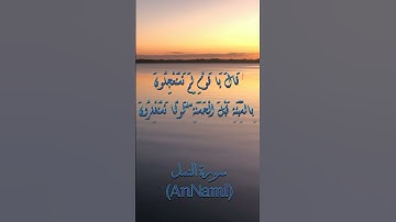 #سورة النمل (AnNaml) | ياسر الدوسري | #ياسر_الدوسري #القرآن_الكريم #المصحف_المرتل #quran