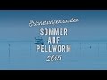 Erinnerungen an den Pellwormer Sommer 2015