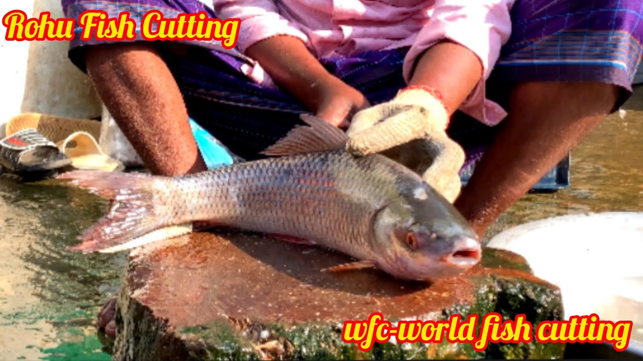 Amazing Big Rohu Fish Cutting In Bangladesh Fish Market || Fillet Fish Slicing